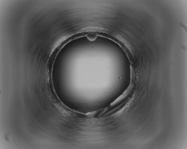 X0000096380973200801311255