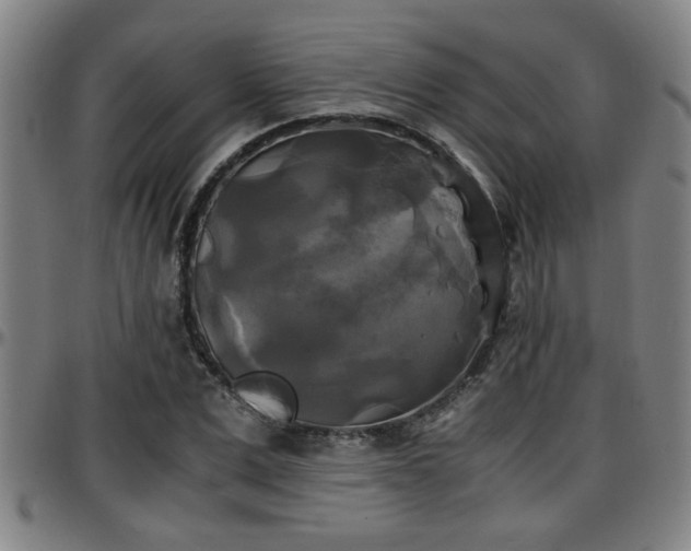 X0000096380975200801311255