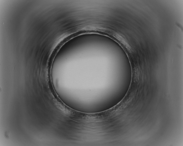 X0000096380976200801311255