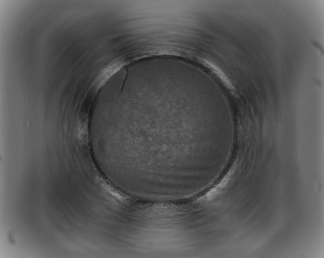 X0000096380977200801311255