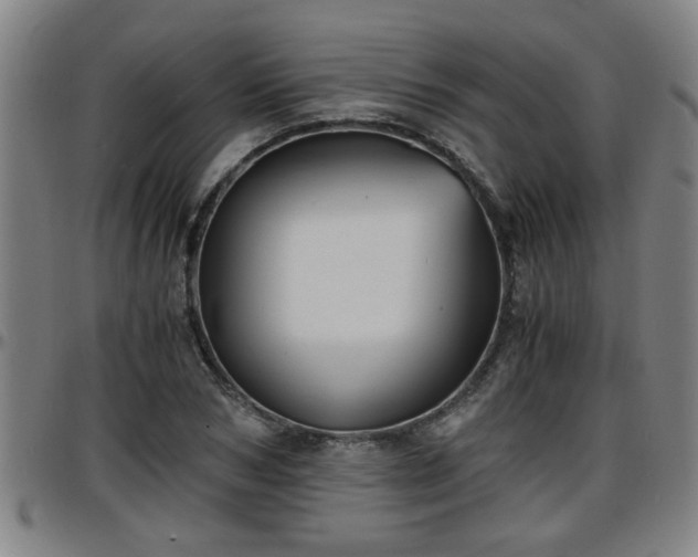 X0000096380978200801311255