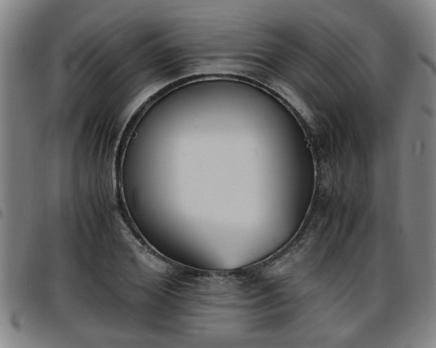 X0000096380980200801311255