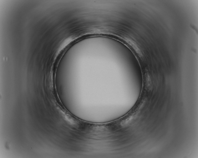 X0000096380982200801311255