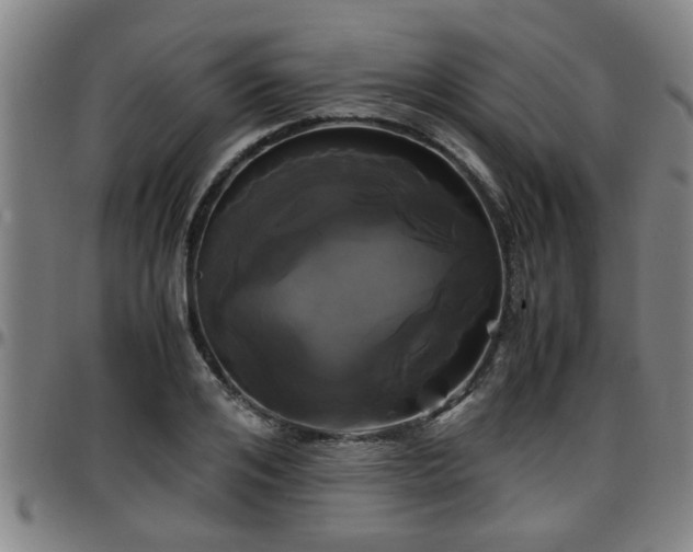 X0000096380984200801311255