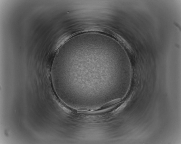 X0000096380985200801311255