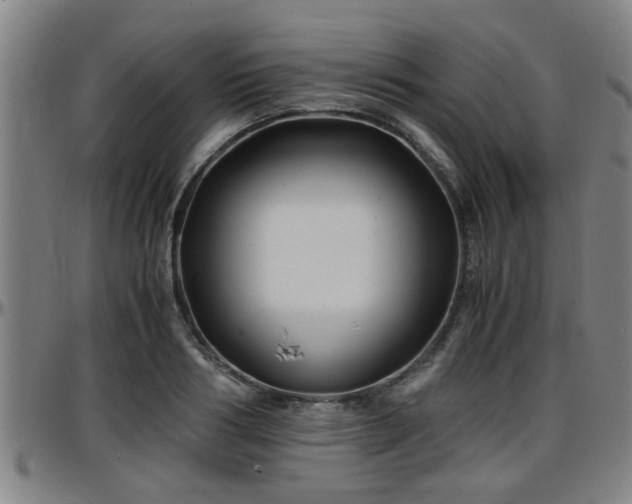 X0000096380986200801311255