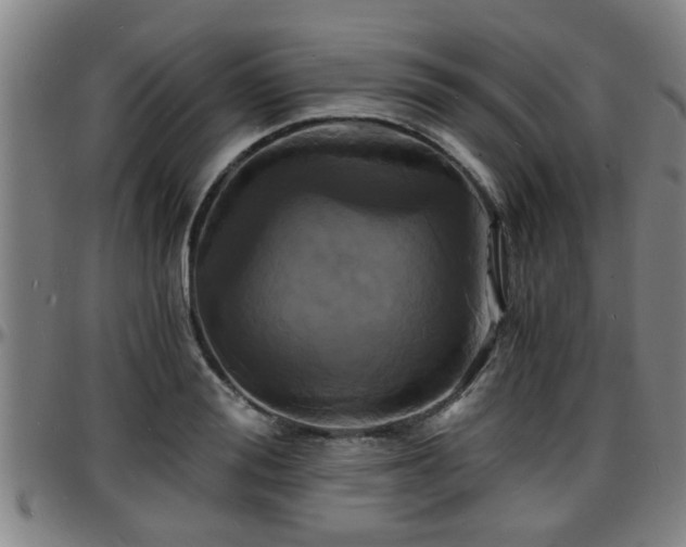 X0000096380988200801311255