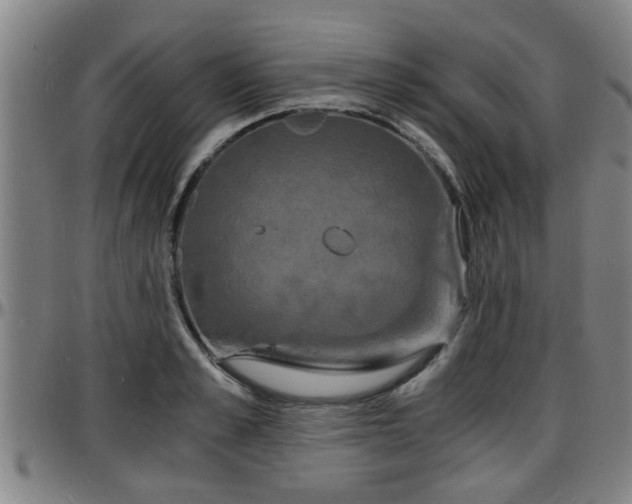 X0000096380989200801311255