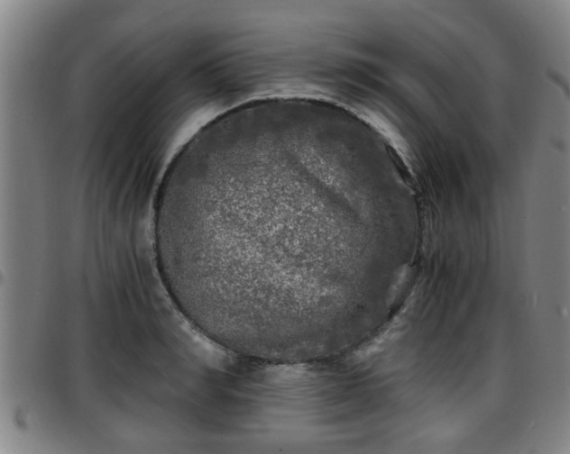 X0000096380990200801311255