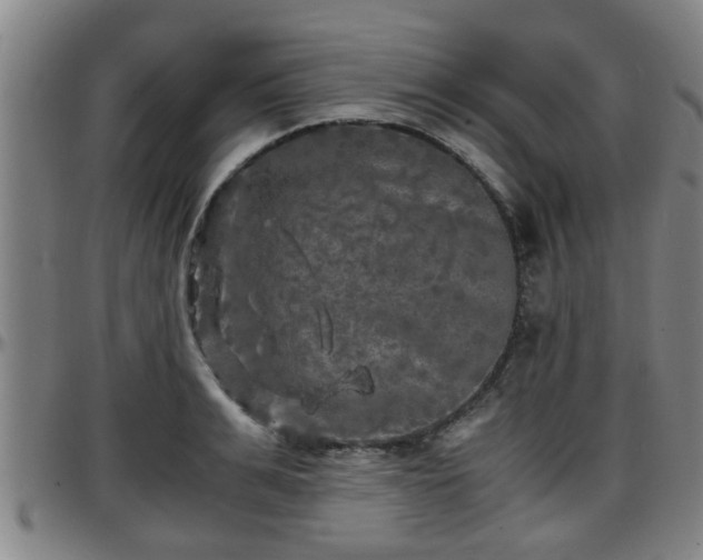 X0000096380991200801311255