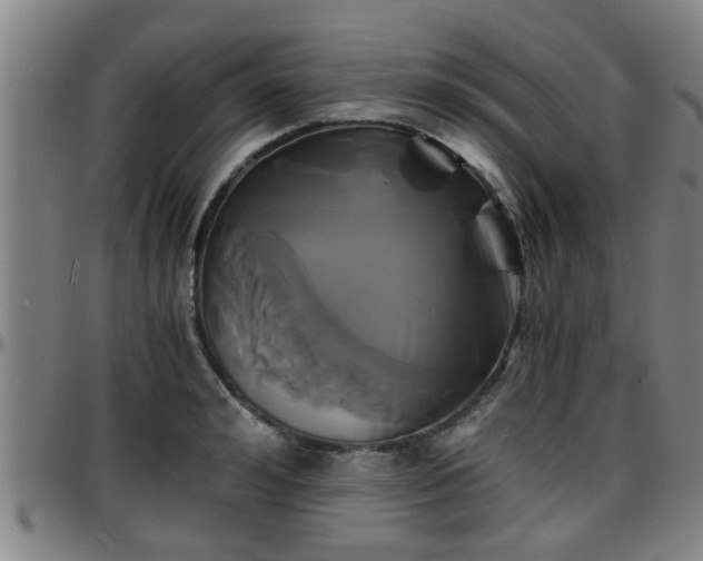 X0000096380992200801311255