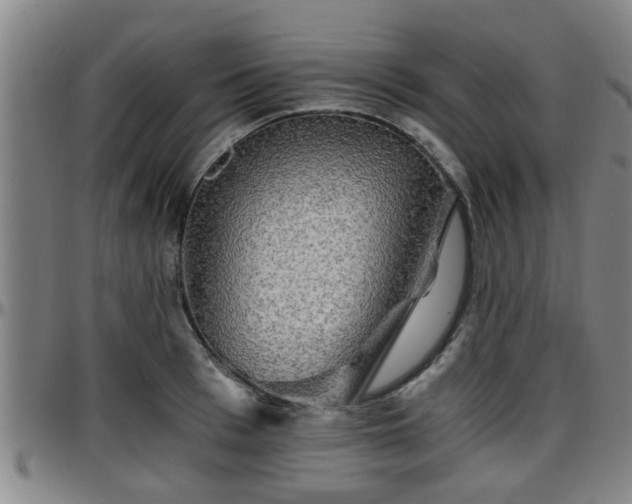 X0000096380993200801311255