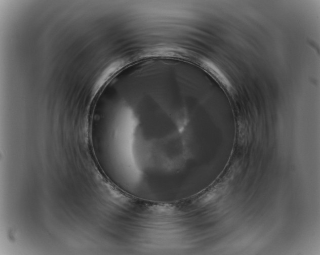 X0000096380994200801311255