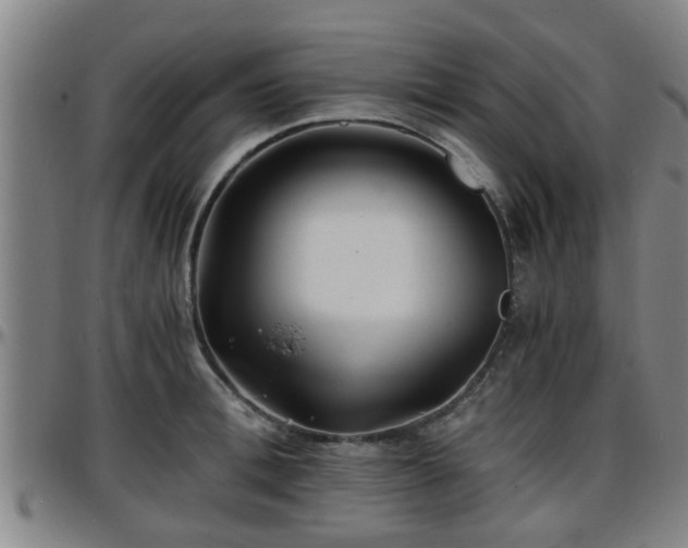 X0000096380996200801311255