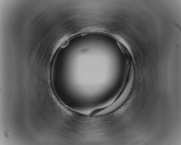 X0000096380997200801311255