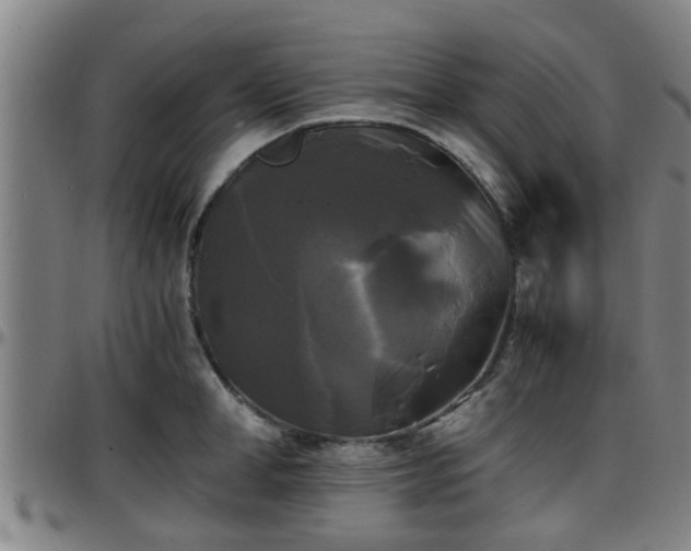X0000096380998200801311255