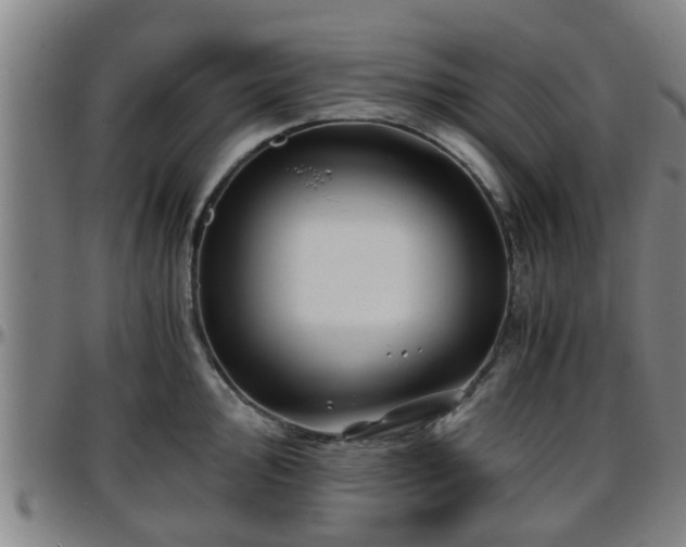 X0000096381000200801311255