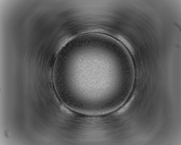 X0000096381001200801311255