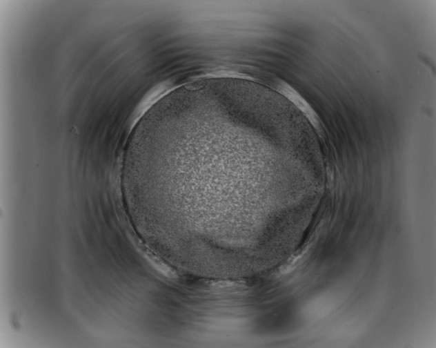 X0000096381002200801311255