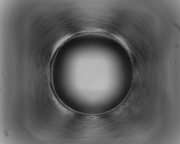 X0000096381003200801311255