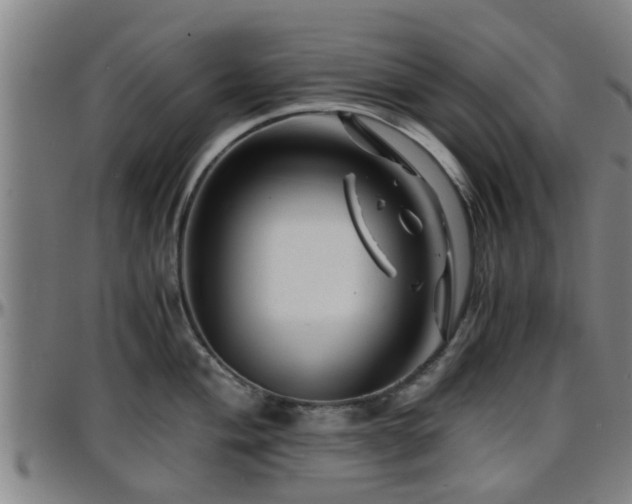 X0000096381004200801311255