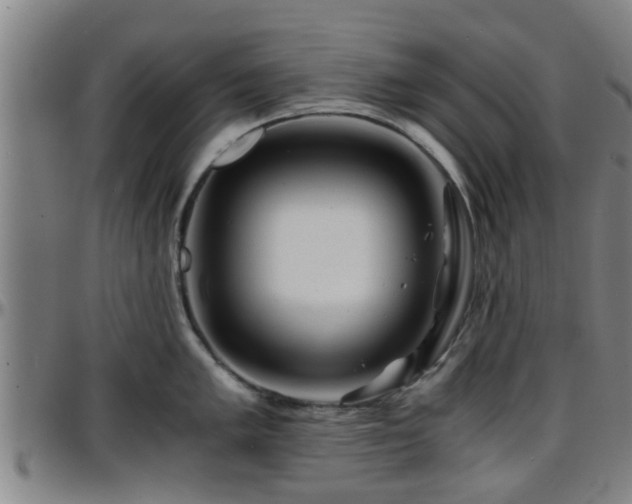 X0000096381005200801311255