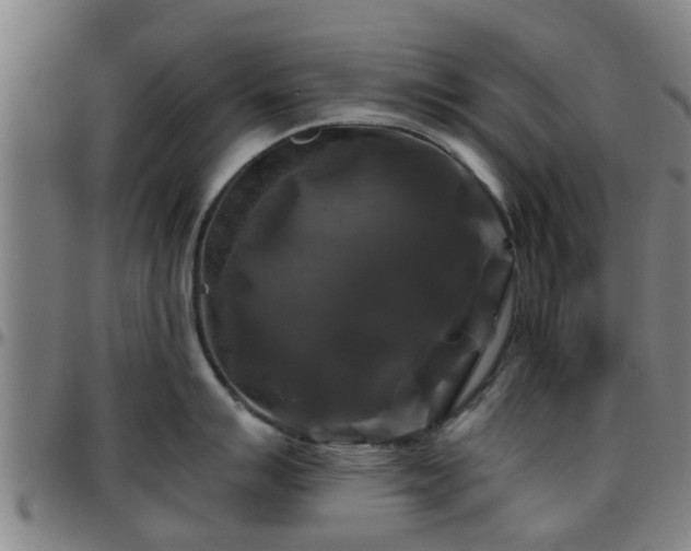 X0000096381007200801311255