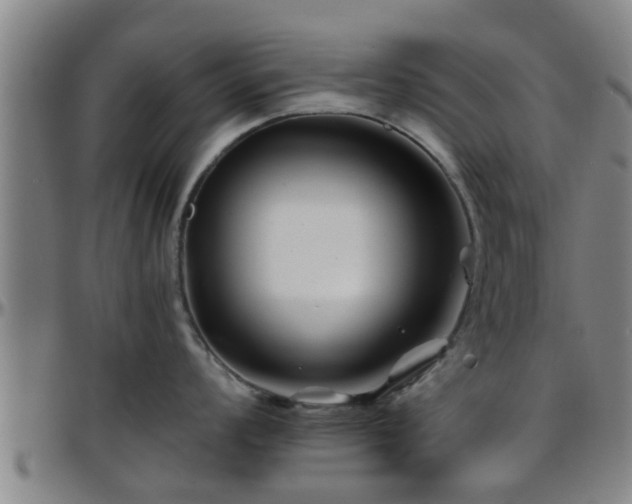 X0000096381008200801311255