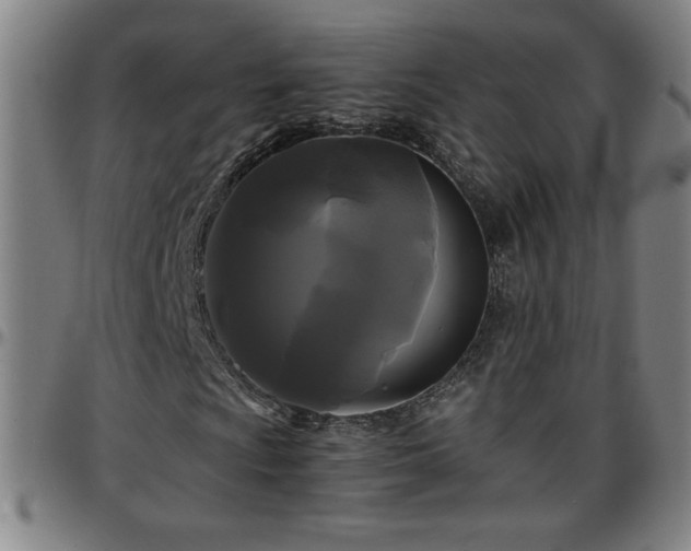 X0000096381009200801311254