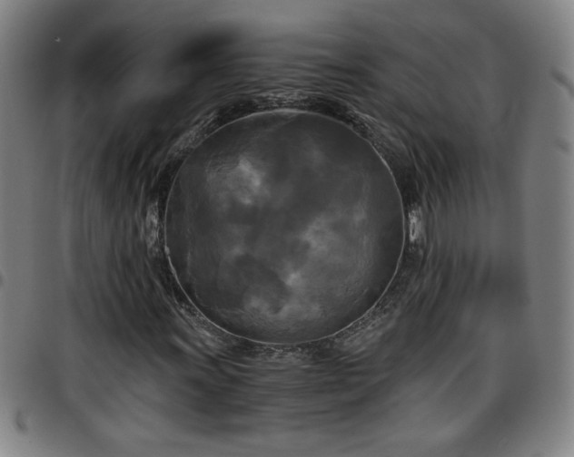 X0000096381011200801311254