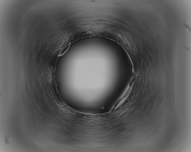 X0000096381012200801311254