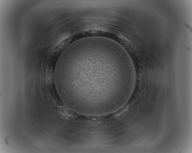 X0000096381014200801311254
