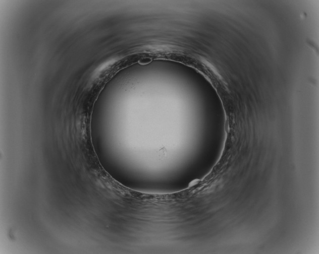 X0000096381016200801311254