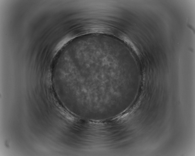 X0000096381019200801311254