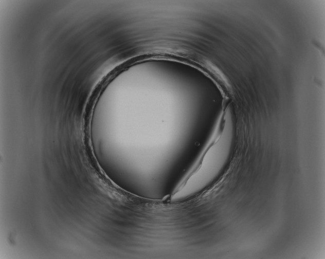 X0000096381020200801311254