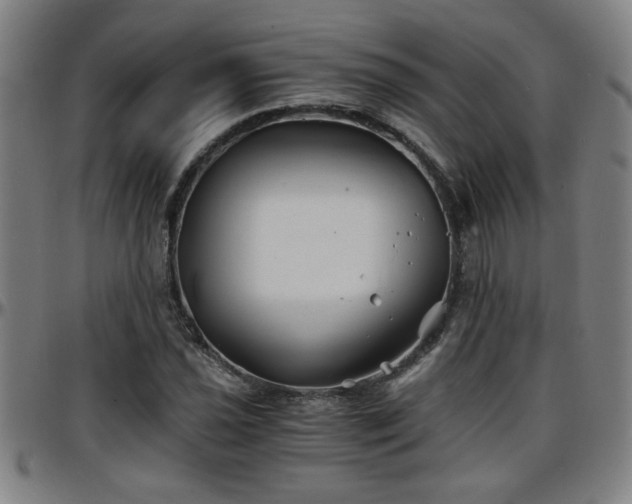 X0000096381021200801311254