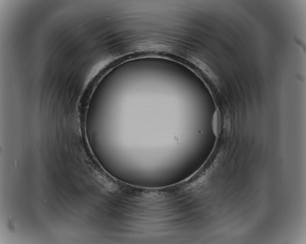 X0000096381022200801311254