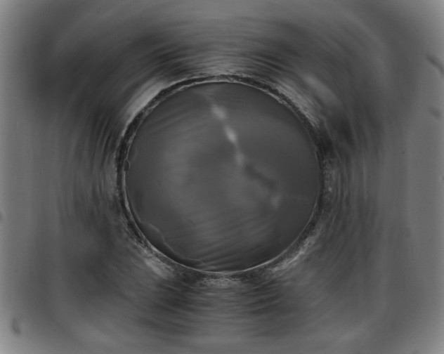 X0000096381023200801311254