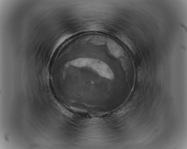 X0000096381024200801311254