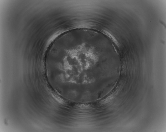 X0000096381027200801311254