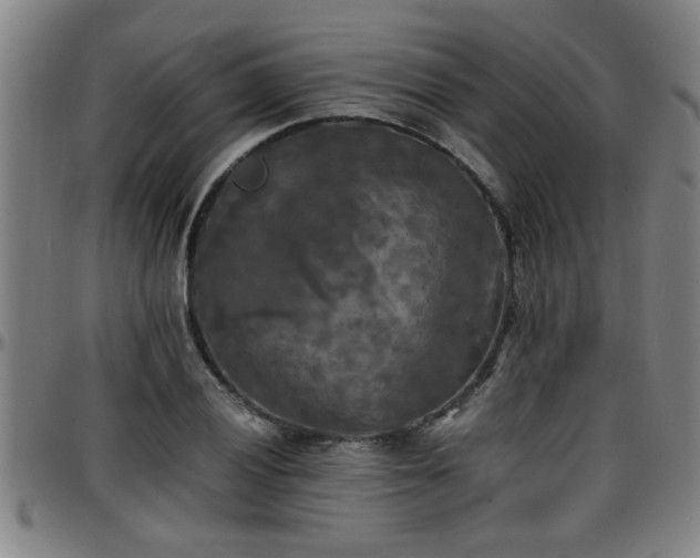 X0000096381028200801311254