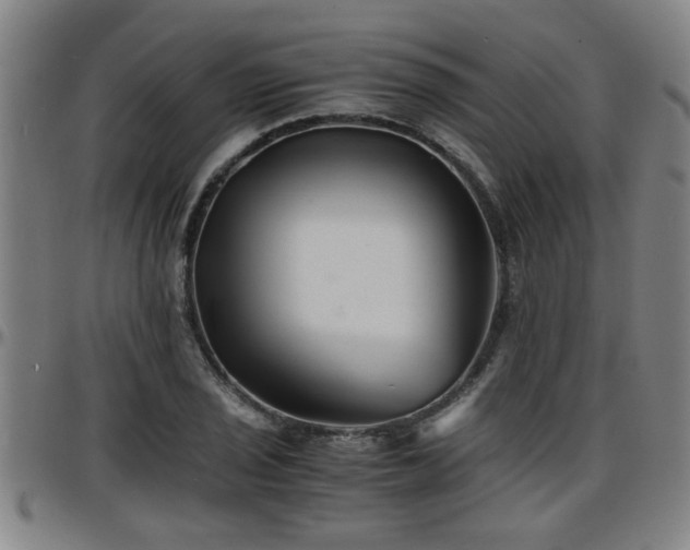 X0000096381029200801311254