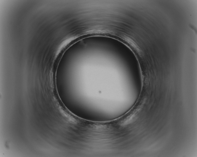 X0000096381030200801311254