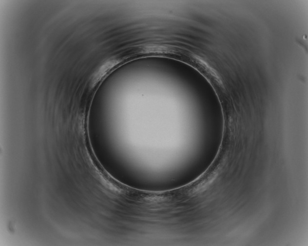 X0000096381033200801311254
