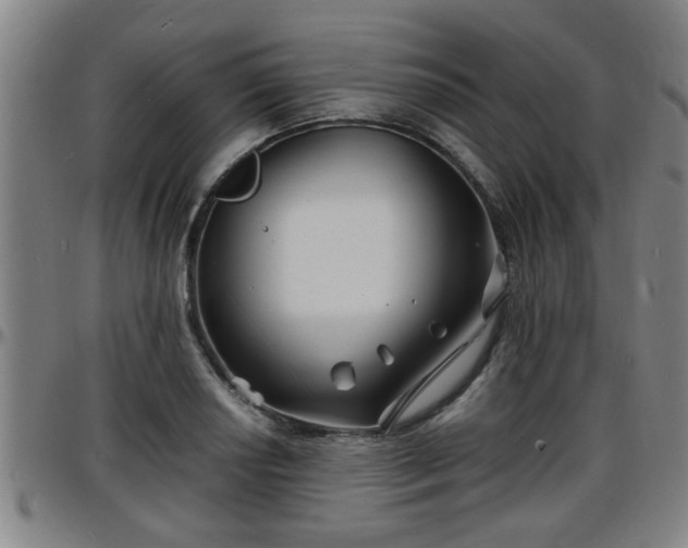 X0000096381034200801311255