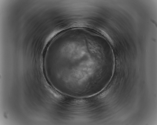 X0000096381035200801311255
