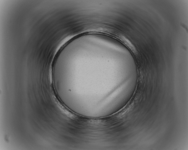 X0000096381036200801311255