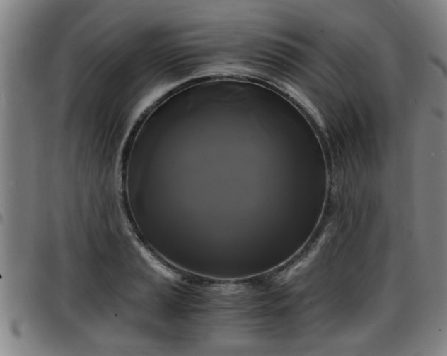 X0000096381037200801311255