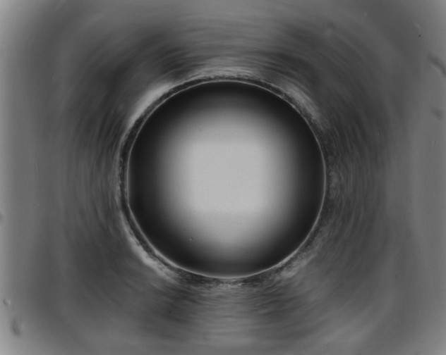 X0000096381038200801311255