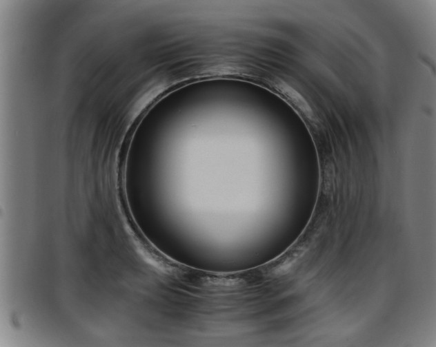 X0000096381039200801311255